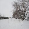 la grande nevicata del febbraio 2012 135